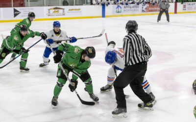 SABRES SPLIT WITH IRISH ON THE ROAD